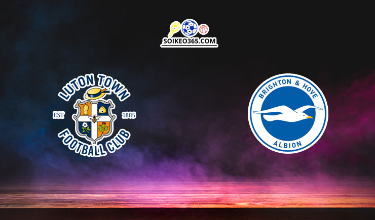 Soi kèo Luton Town vs Brighton 31/01/2024