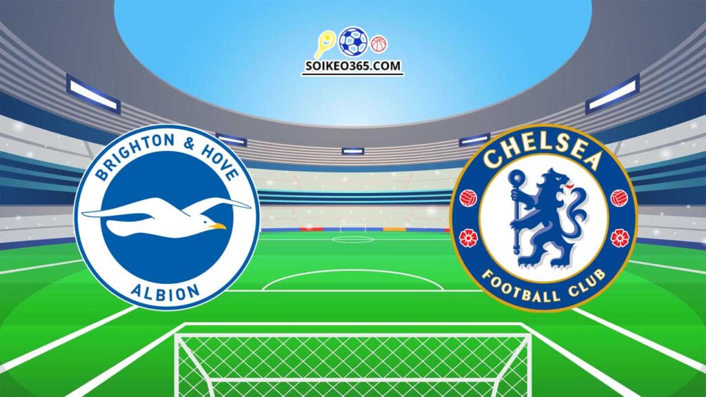 Soi kèo Brighton vs Chelsea 16/05/2024